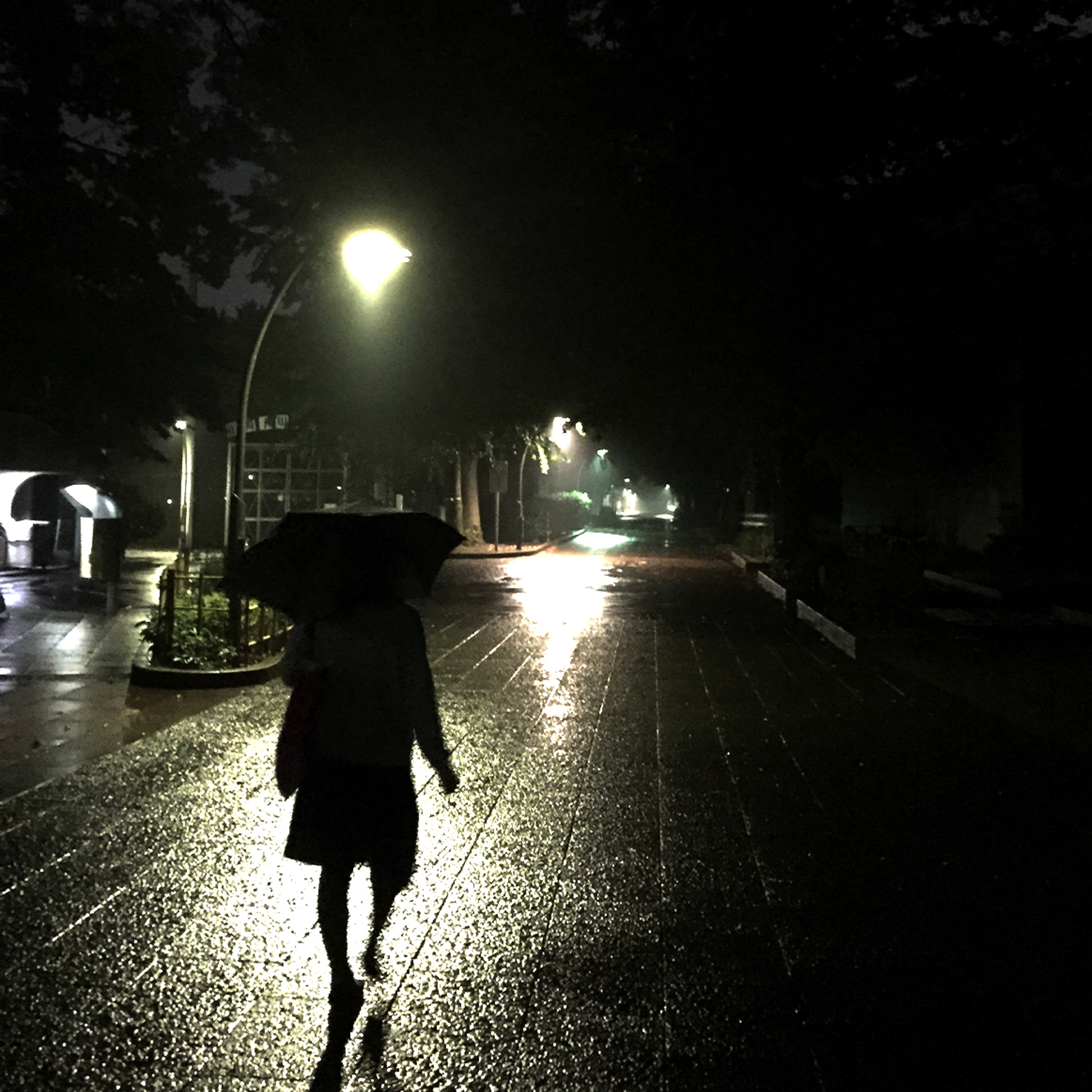 White Blank Book Do You Remever CDジャケット