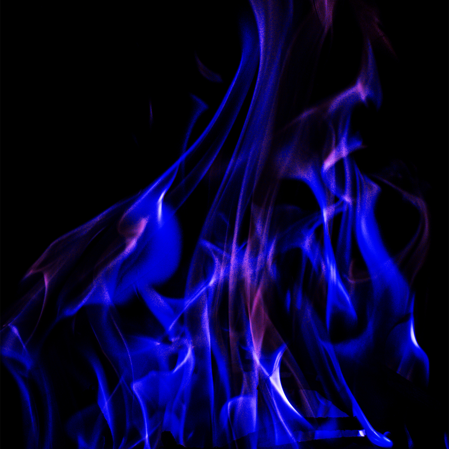 White Blank Book 青炎 CDジャケット